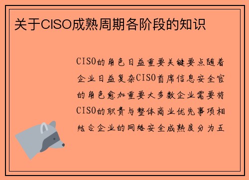 关于CISO成熟周期各阶段的知识 